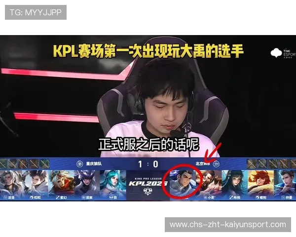 职业选手对于英雄强度的把控